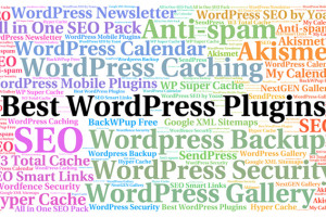 Os 7 Plugins Para Fazer Seu Blog Wordpress Bombar
